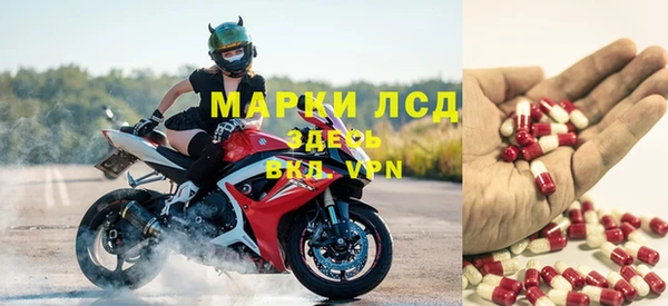 стафф Осинники